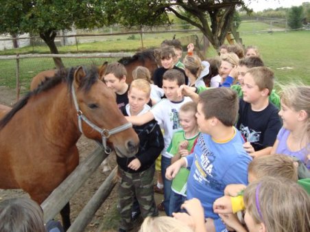 Radawiec - Kozłówka - Leonów