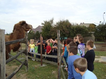 Radawiec - Kozłówka - Leonów