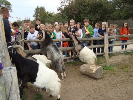 Radawiec - Kozłówka - Leonów