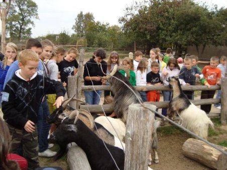 Radawiec - Kozłówka - Leonów