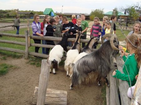 Radawiec - Kozłówka - Leonów