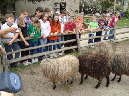 Radawiec - Kozłówka - Leonów