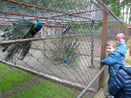 W świecie dinozaurów