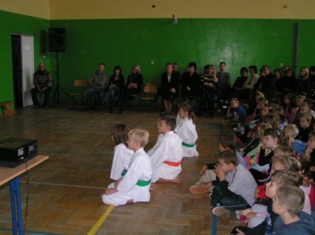 Pokaz karate