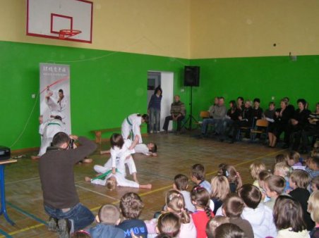 Pokaz karate