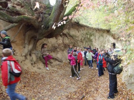 Wycieczka do Kazimierza
