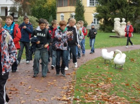 Wycieczka do Kazimierza