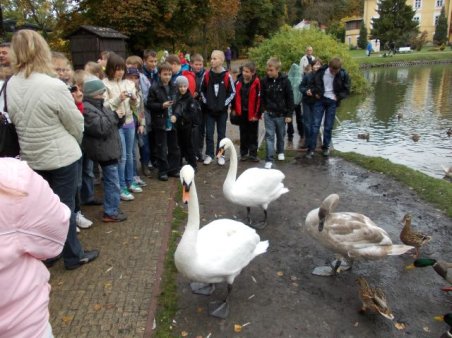 Wycieczka do Kazimierza