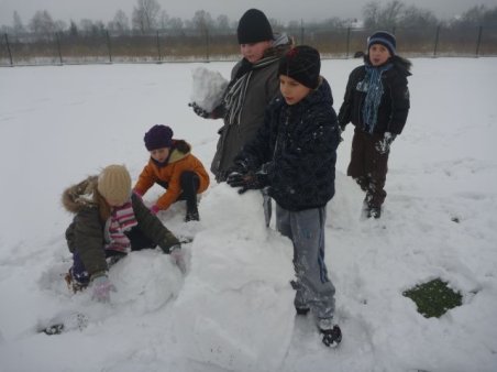 Sprawności zuchowe