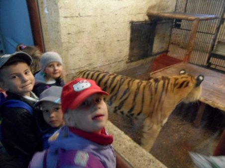 Przedszkolaki w ZOO
