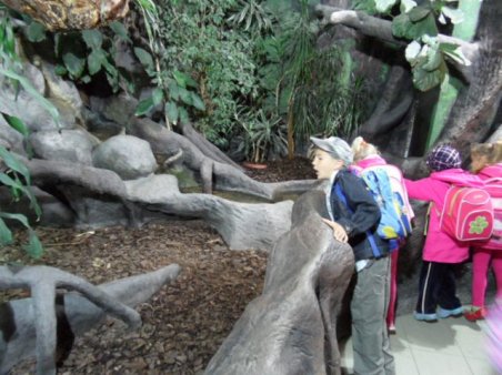 Przedszkolaki w ZOO