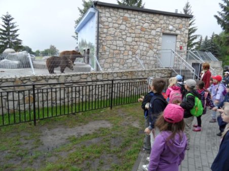 Przedszkolaki w ZOO