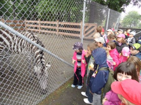 Przedszkolaki w ZOO