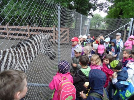 Przedszkolaki w ZOO