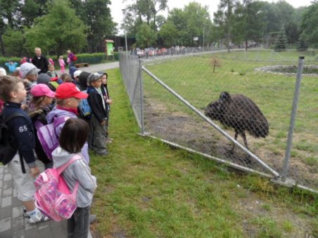 Przedszkolaki w ZOO