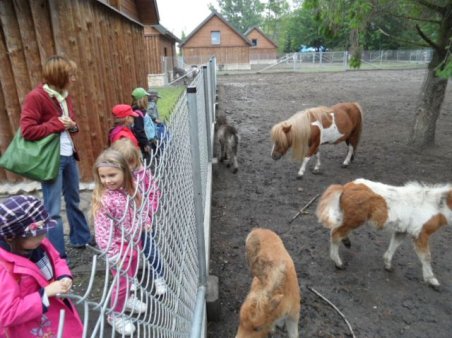Przedszkolaki w ZOO