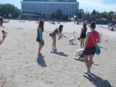 ZIELONA SZKOŁA 2013