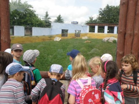 Pięciolatki w ZOO