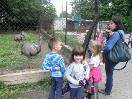 Pięciolatki w ZOO