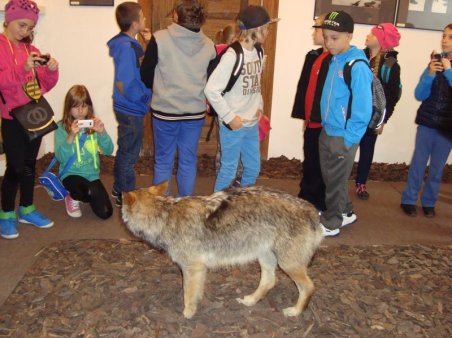 Wycieczka do Krasiczyna i Przemyśla