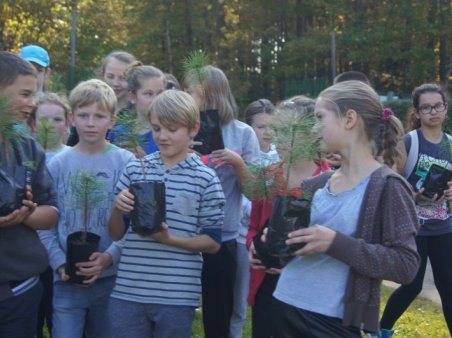 Święto Drzewa