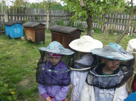 Wizyta u pszczelarza