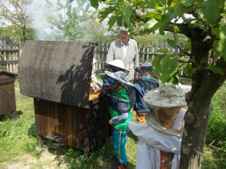 Wizyta u pszczelarza