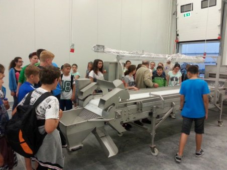 Dzień Dziecka i Sportu