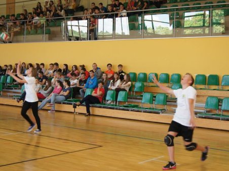 Prezentacja projektu