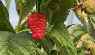 Aktywnie w klasie II a