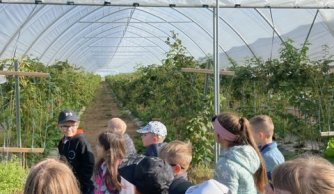 Aktywnie w klasie II a