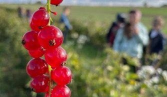 Aktywnie w klasie II a