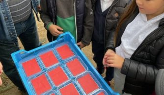 Aktywnie w klasie II a