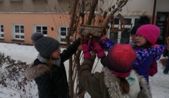 Dokarmianie ptaków zimą - Szkolne Koło Ekologiczne