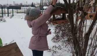 Dokarmianie ptaków zimą - Szkolne Koło Ekologiczne