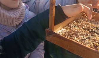 Zimowe dokarmianie ptaków przez uczniów klasy IIa, IIb i IIIa