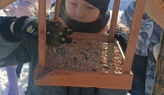 Zimowe dokarmianie ptaków przez uczniów klasy IIa, IIb i IIIa