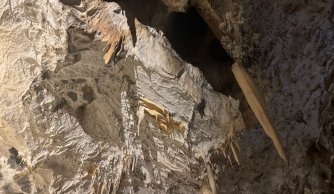 Wycieczka szkolna do Wiednia i Morawskiego Krasu